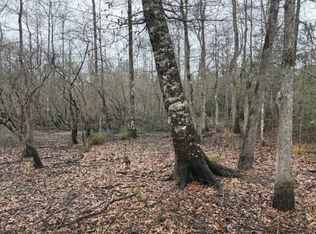 County Road 1700, Warren, TX 77664