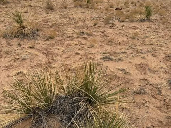 Aguilar Avenue Block Lot 11-1002, Veguita, NM 87062