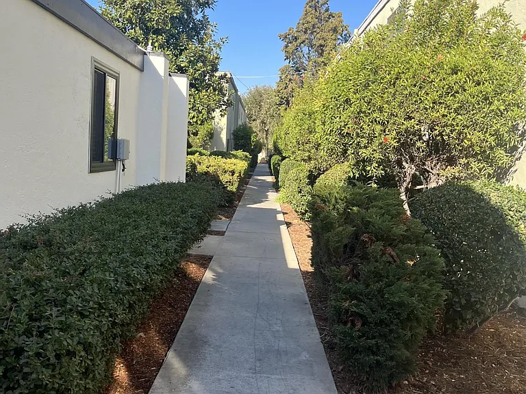 Evergreen — Photo 35