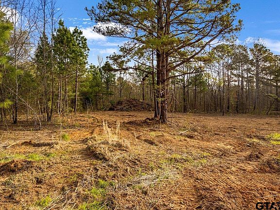 2nd image of 19353 County Road 2153 Lot 1