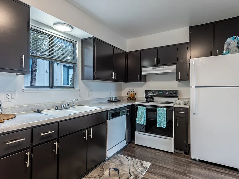 Reno Vista Apartments — Photo 6