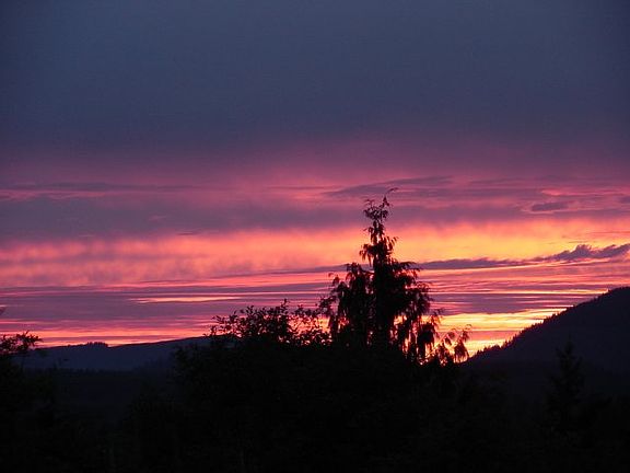 Most romantic evenings.