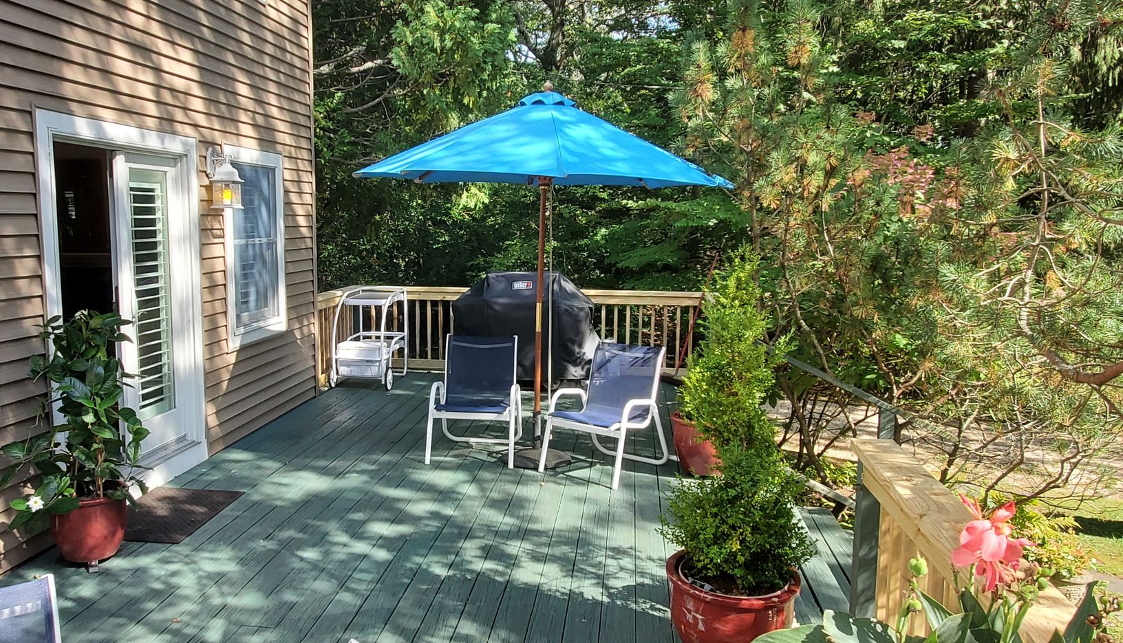  Great BBQ area on Rear Deck