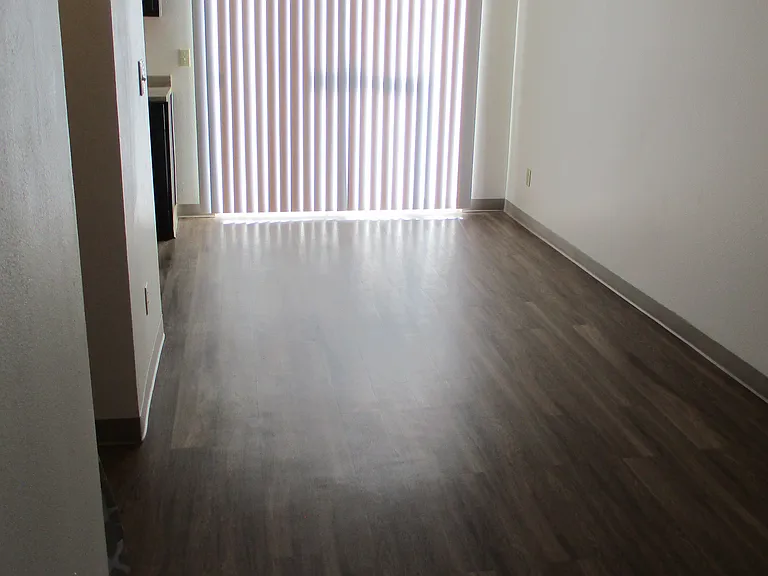 Dining area-vinyl