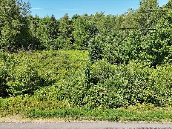 5th image of LOT Cherry Hill Rd