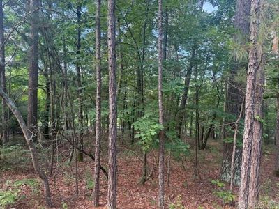 155 Cifuentes Way, Hot Springs Village, AR, 71909