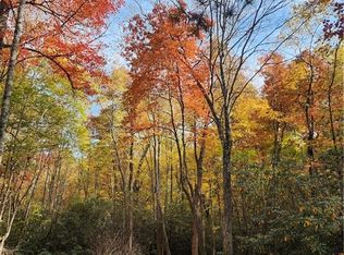 213 Patton Thicket Rd, Burnsville, NC 28714