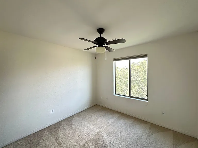 5523 Candle Pine Way — Photo 21