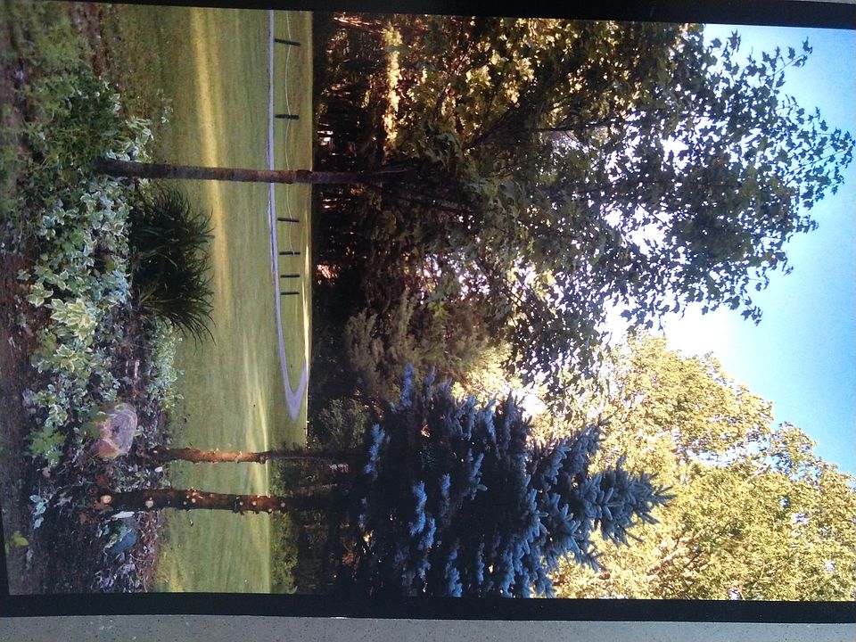 1st image of Woodland Ct