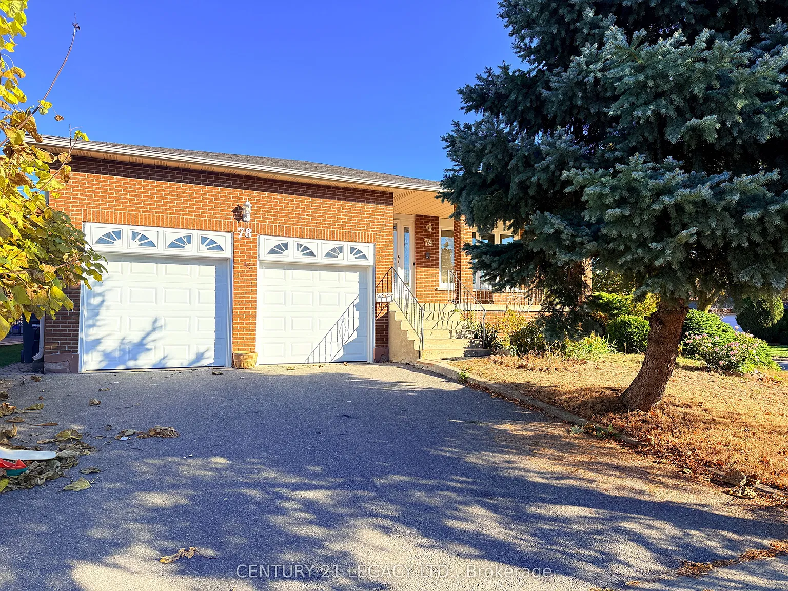 3 bed, $3,150 — Photo 1