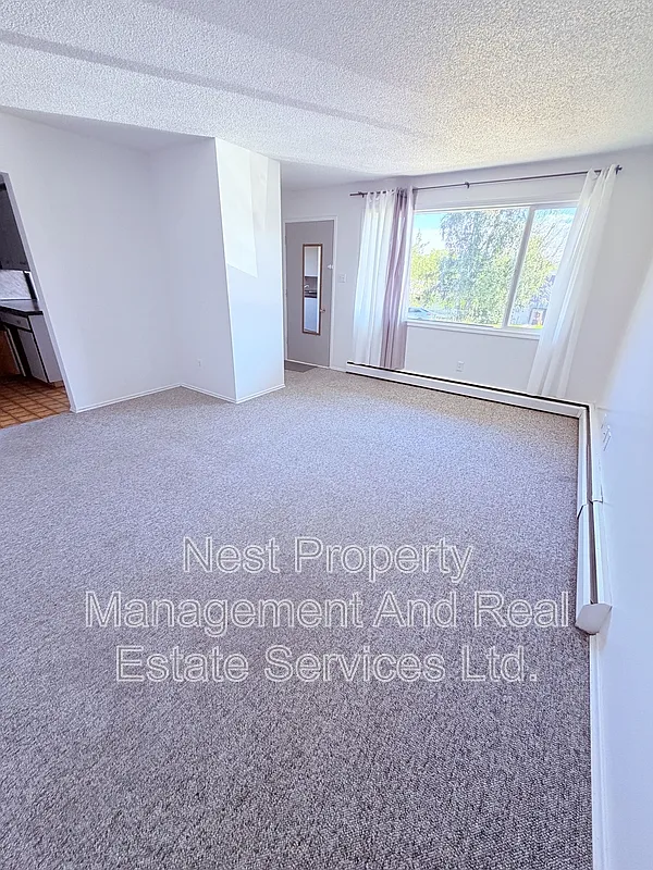 2 bed, 1.0 bath, $1,650 — Photo 3