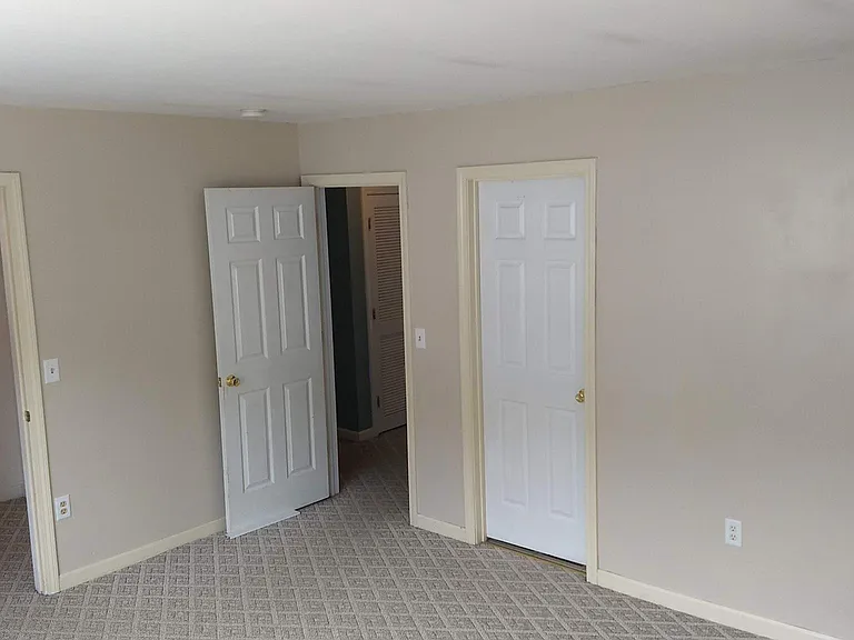 Large bedroom with walk-in closet.
