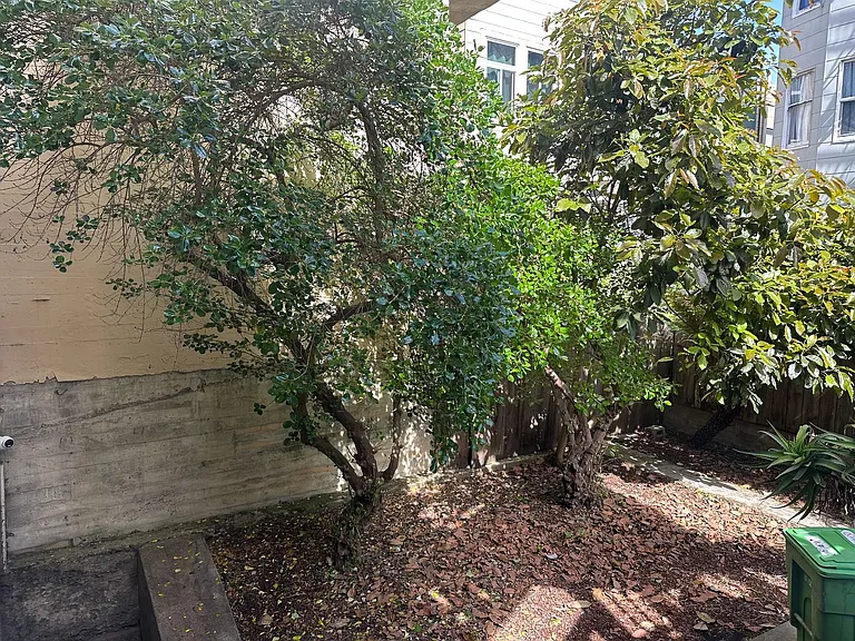 1270 Pine St — Photo 10