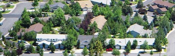 View of Complex from Park