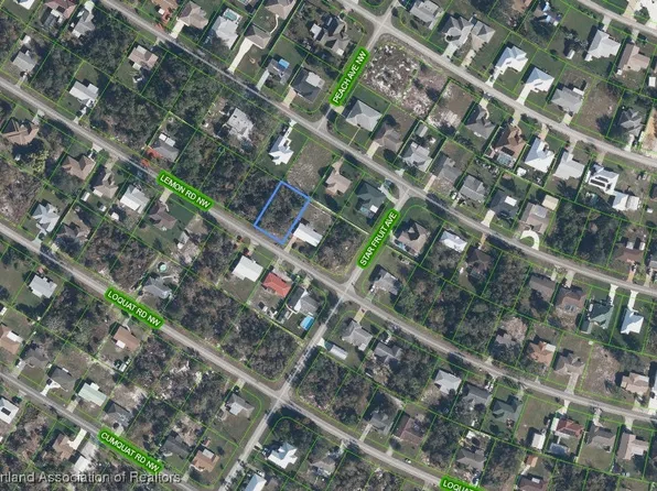 241 Lemon Rd NW, Lake Placid, FL 33852