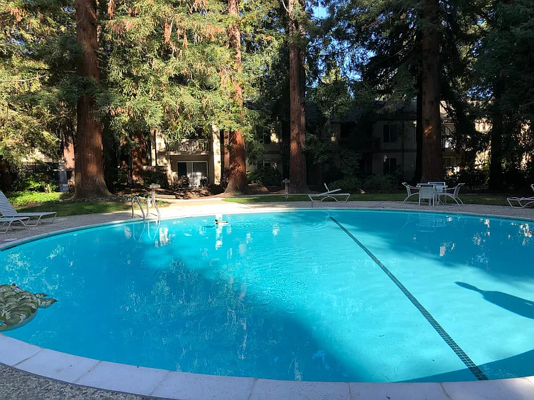 505 Cypress Point Dr #173 — Photo 23