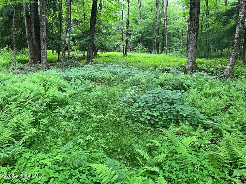 3rd image of L3 Davis Road