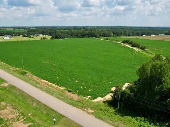 0 Judge Logue Rd, Newton, AL 36352