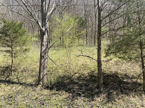 2nd image of 0 Acorn Ln Lot 9 & 10