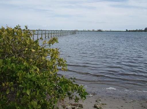 4th image of 2713 N Indian River Dr