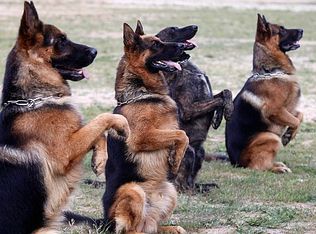 917 Kelso Rd, Mitchell, IN 47446