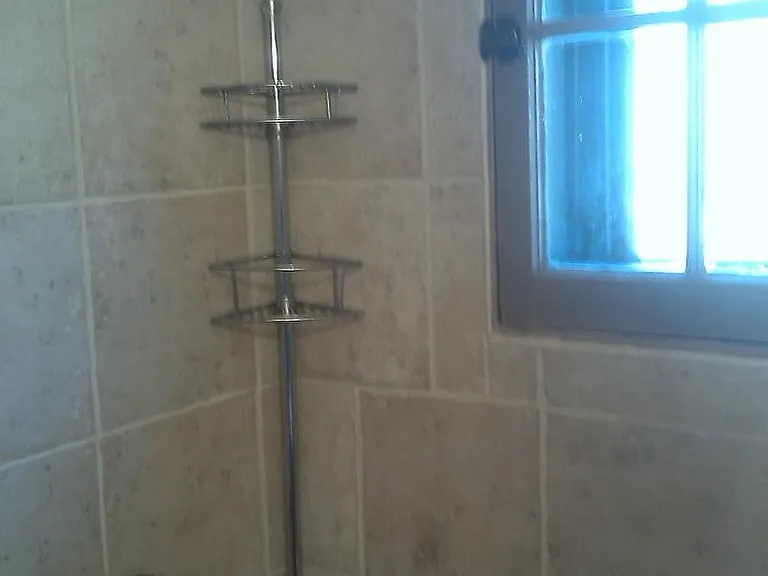 Shower w/ window to woods - upstairs