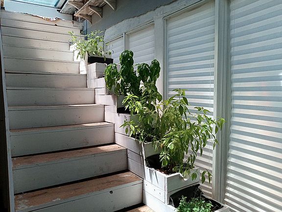 Self-waters from Fish System