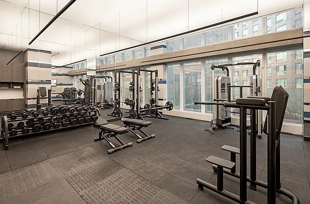 Rented by Vector New York, LLC | media 22