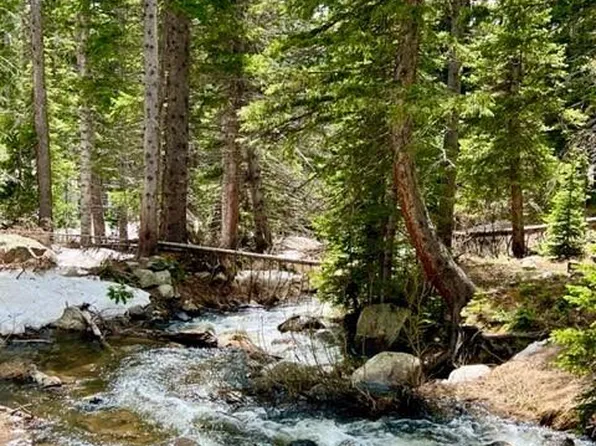 43 Brook Drive, Idaho Springs, CO 80452