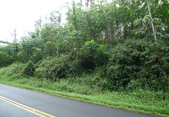 3rd image of 13-3572 S Nohea St Lot 64