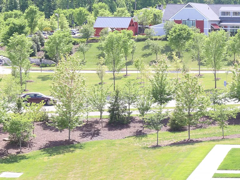 1859 Shadding Bay Ln — Photo 9