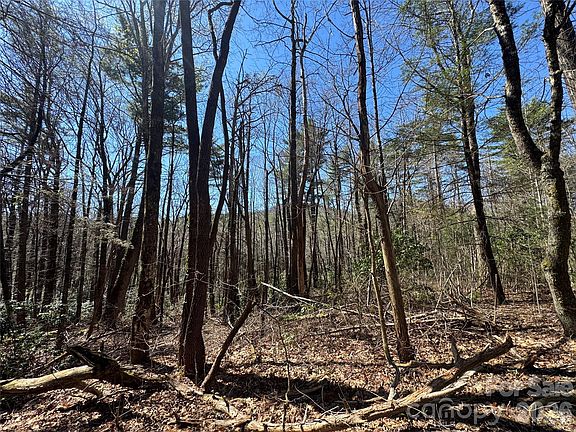 3rd image of 1 Bear Log Rd