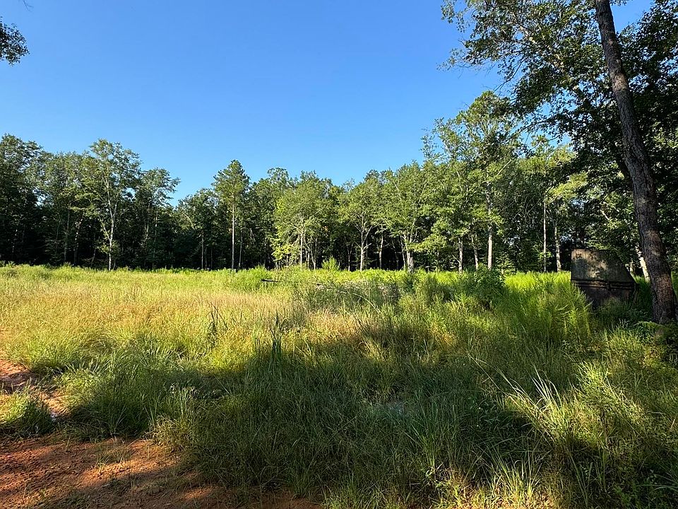 1st image of 16300 County Road 54 #1