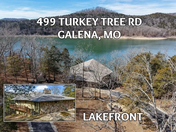 499 Turkey Tree Road, Galena, MO 65656