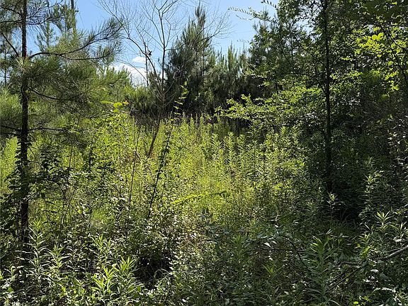 4th image of 0 N Hendrix Ave