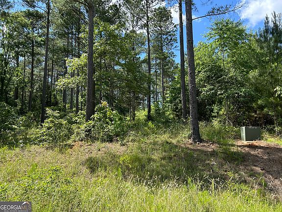 1360 Hornets Bridge Dr, Elberton, GA 30635 | MLS #10300752 | Zillow