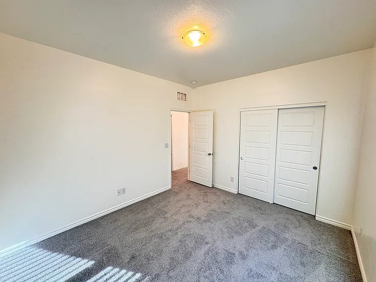 2711 Lindsey Springs St — Photo 26
