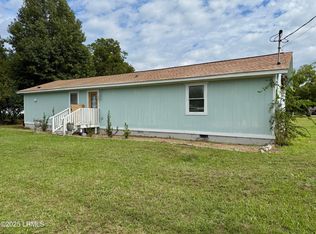 361 Tyson St, Estill, SC 29918