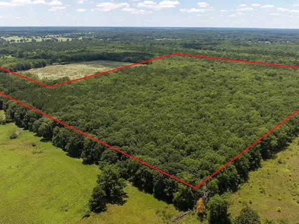 0 County Road 2202, Hooks, TX 75561