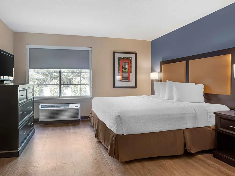 1 Bedroom Suite - 1 King Bed