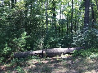 7 White Pine Acres Dr, Blue Ridge, GA 30513