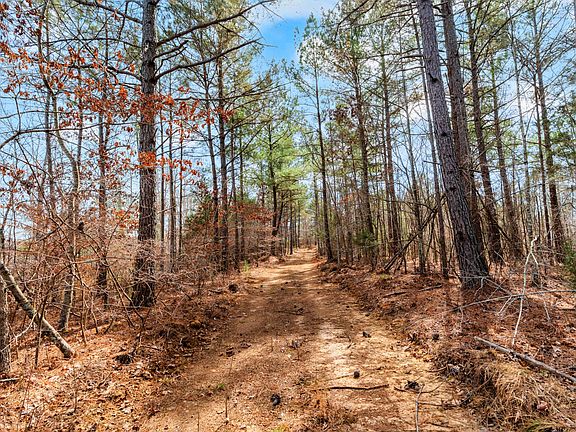 3rd image of 0 Jay Hutchings Rd