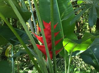 14th Ave LOT 433, Keaau, HI 96749