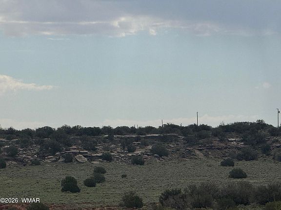 5th image of Stirrup Rd
