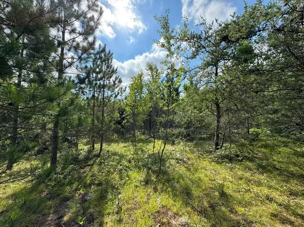 10320 Upper Mograin Rd, Cheboygan, MI 49721