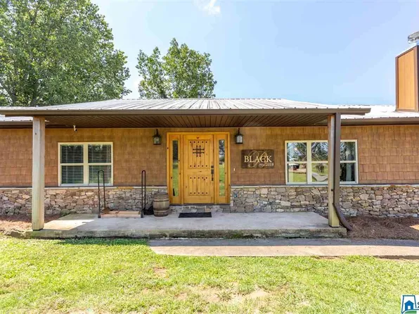 7930 Pine Mountain Rd, Springville, AL 35146
