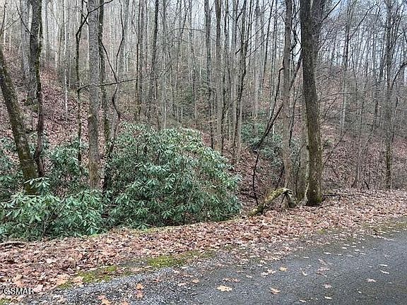 2nd image of 14 Black Walnut Flats Rd Lot 14