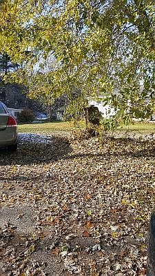 2nd image of 17235 N 4th St