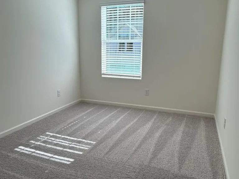 204 Trumpet Vine Dr — Photo 13