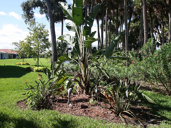 Preserve Setting